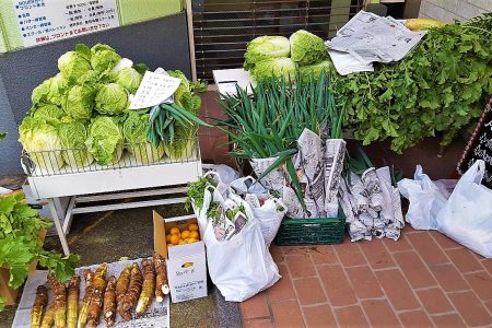 野菜販売　12月20日開催！！